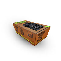 Alshifa Ajwa Dates Large - Premium Quality | Alshifa.com.pk